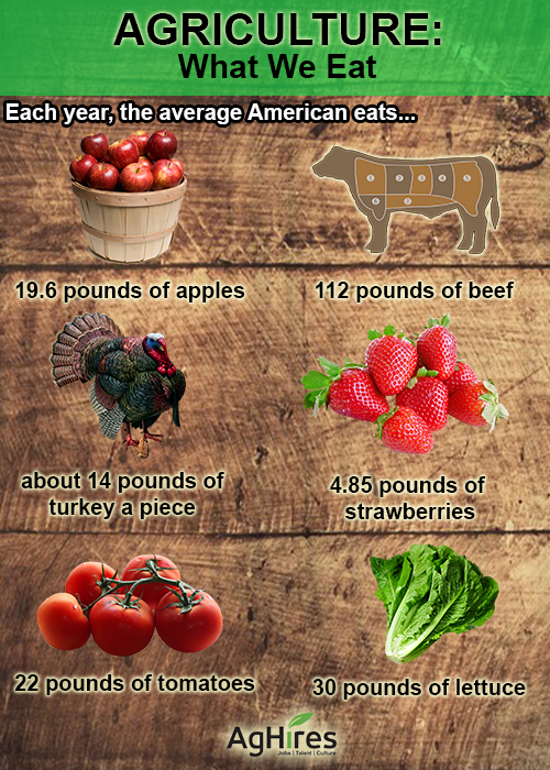 Each Year The Average American Eats 